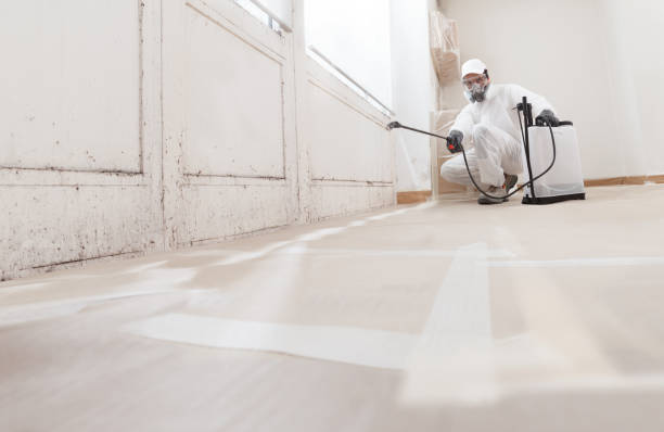 24/7 Emergency Mold Testing experts in Point Pleasant, PA